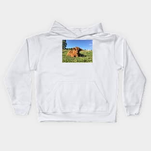 Scottish Highland Cattle Calf 1528 Kids Hoodie